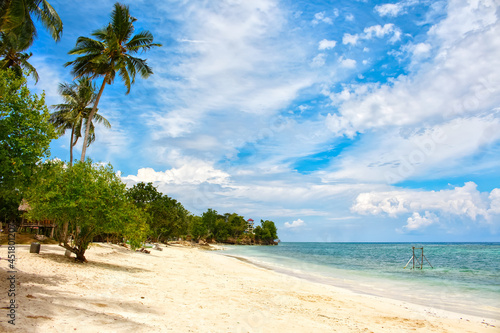 beach with palm trees