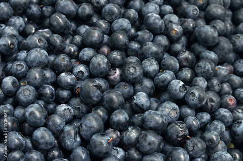 Fresh blueberries. Texture of blueberry berries close up