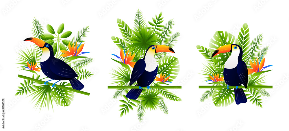 Set of toucan birds with tropical leaves and flowers - for Your summer design