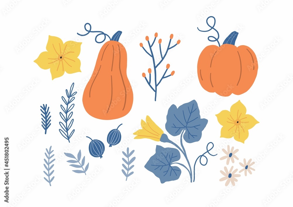 Vector autumn set with cute pumpkin, pumpkin flowers and autumn plants. 