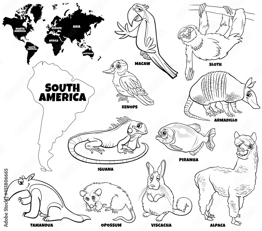 cartoon South American animals set coloring book page cartoon South American animals set coloring book page