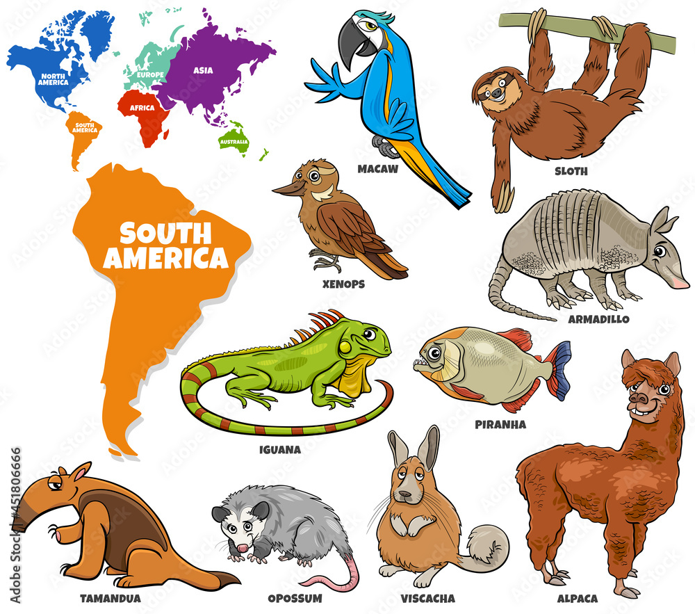 Fototapeta premium educational illustration of cartoon South American animals set