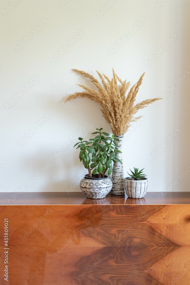 Naklejka premium Mid-century modern pottery set - grey pots and a vase with plants on a wooden table