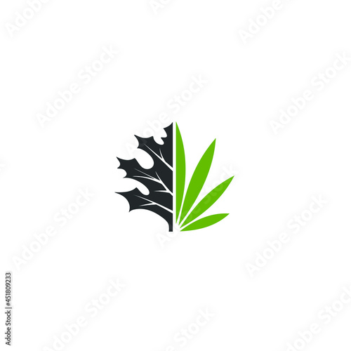 Canadian cannabis leaves, vector logo design CBD hemp inspiration