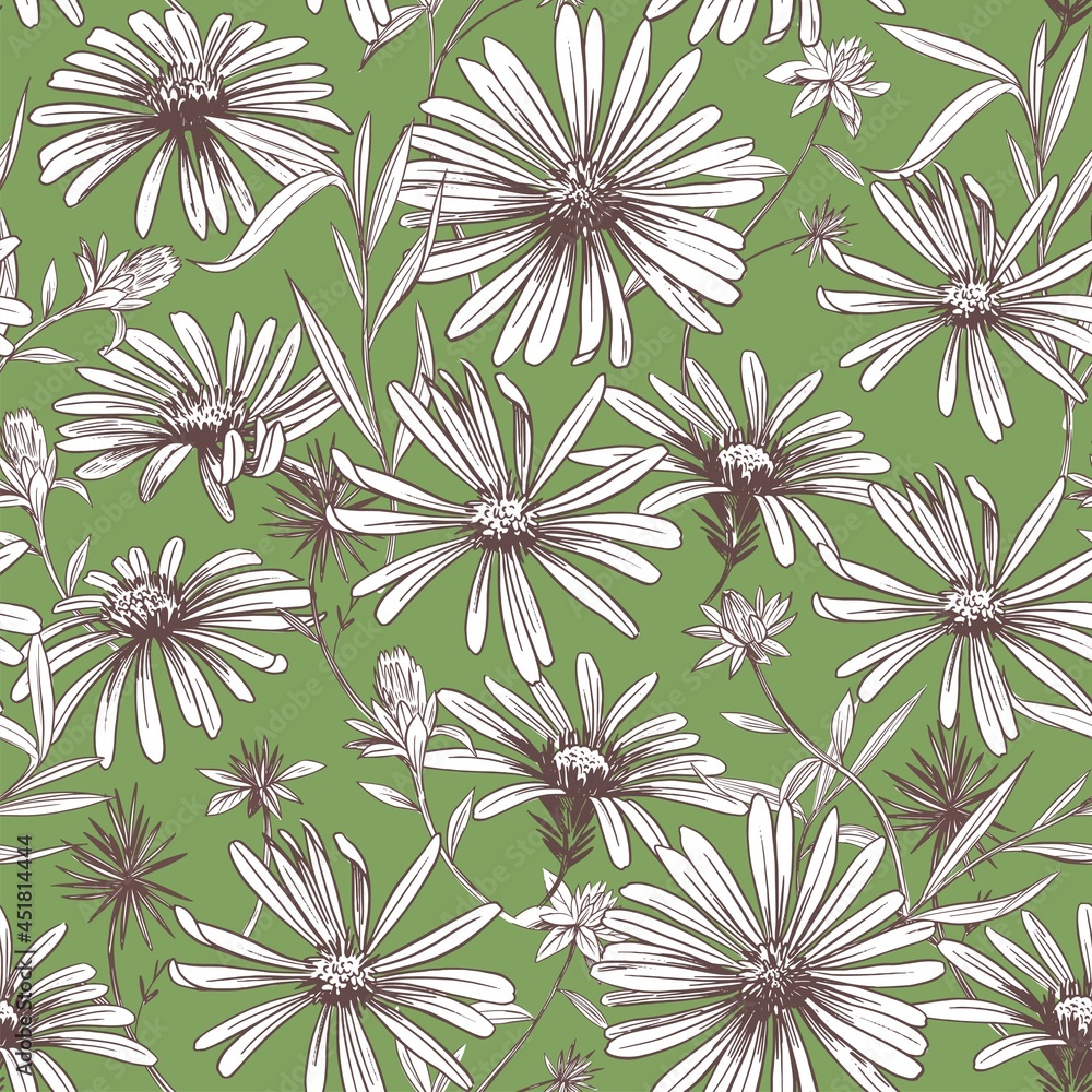Fototapeta premium Daisy flower. Seamless pattern. Vector Sketch illustration. Fabric design.