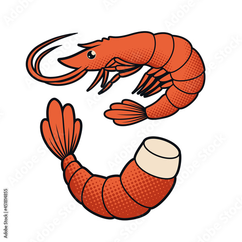 a vector illustration of a shrimp