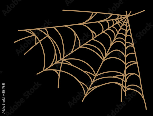 Spider web isolated on wite background. Spooky spider web for Halloween decoration.