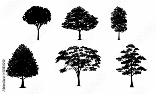 Set Of Tree Vectors
