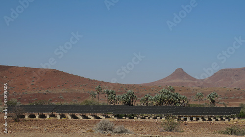 Big field of solar panels in a desert landscape with palm trees and a mountain in the background photo