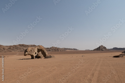 Grizzly bear rock in the arid landscape of Kaokoveld  Namibia  a popular tourist destination in Namibia
