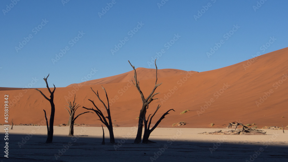 Dead trees and branches at Deadvlei pan, Sossusvlei National Park, a popular tourist destination in Namibia. The shadow of a dune is creating a dramatic effect. Dead trees and branches at Deadvlei pan, Sossusvlei National Park, a popular tourist destination in Namibia. The shadow of a dune is creating a dramatic effect.