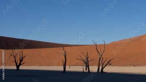 Dead trees and branches at Deadvlei pan, Sossusvlei National Park, a popular tourist destination in Namibia. The shadow of a dune is creating a dramatic effect.