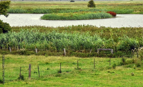 Naturschutzgebiet Beltringharder Koog in Nordfriesland photo