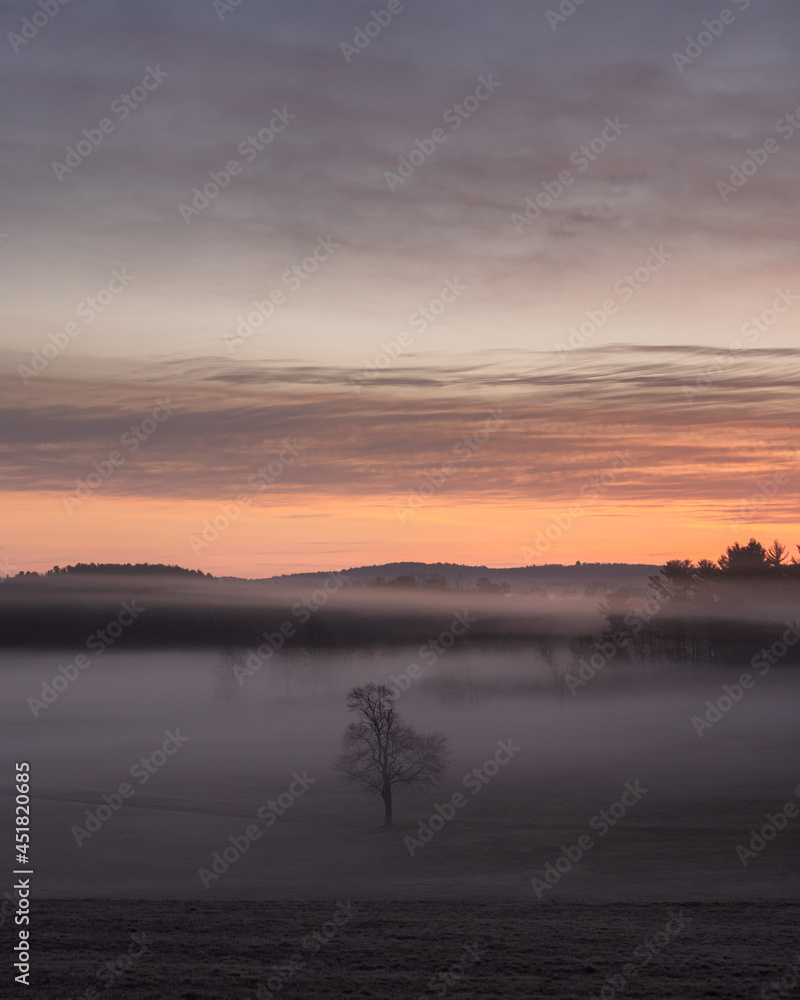 A foggy sunrise over a field in Massachusetts