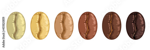 Different roasted coffee beans. Vector cartoon flat illustration.