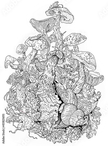 Forest mushroom pie. Fall season ink illustration. Mushrooms, snail, autumn leaves, lichen. Ecology, environment, nature, fairy tale, harvest concept. Anti stress coloring book page, tattoo design.