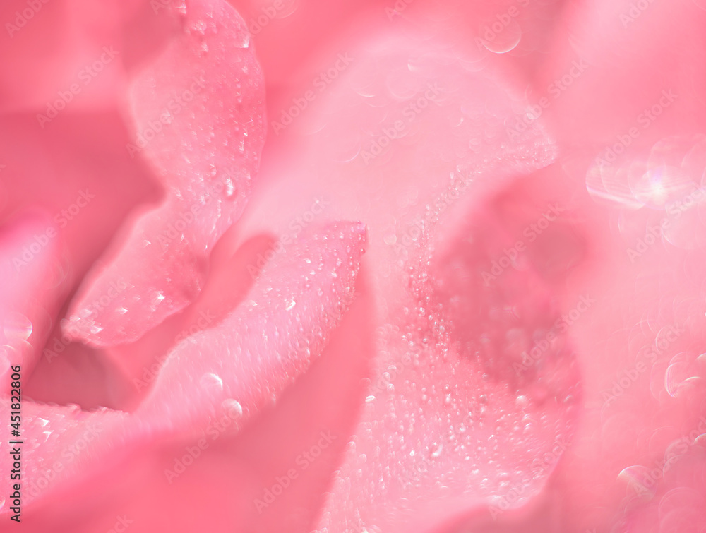 Unfocused blurred pink rose petals, abstract romance background, pastel and soft flower card Unfocused blurred pink rose petals, abstract romance background, pastel and soft flower card
