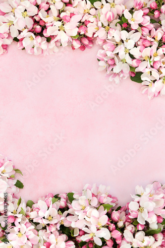 Spring apple blossom flower background border. Seasonal nature floral composition for notepaper, letterhead, birthday, Easter, Valentine Mothers Day card. On mottled pink.