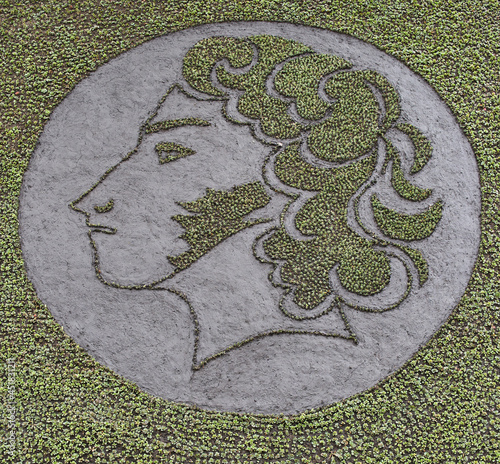 A panel of plants grazing the profile of A.S. Pushkin. photo