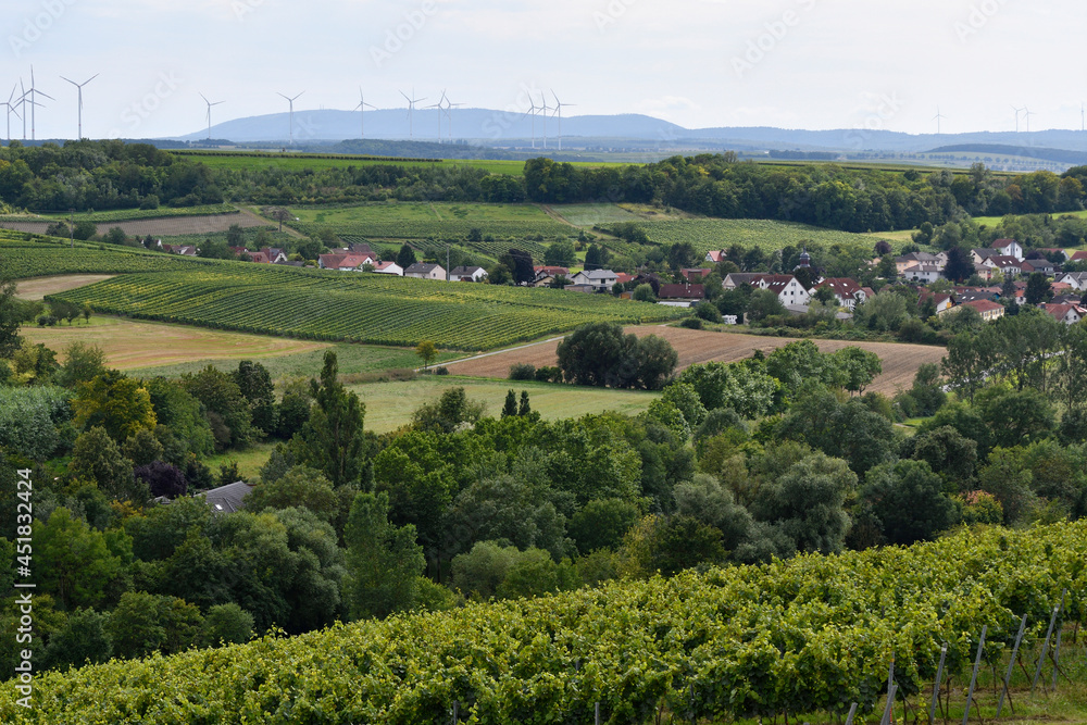 Naklejka premium rheinhessische sommerlandschaft