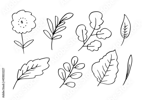 a collection of hand-drawn flower images such as bellflower, chrysanthemums, sunflowers, cotton flowers, and tropical leaves
