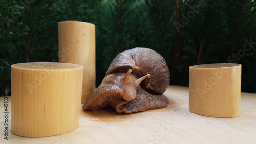 Foto geometric shapes cones cylinders next to a giant snail on a dark