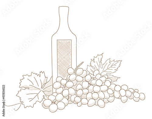 bottle of wine with grape - vector sketch
