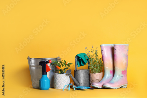 Gardening tools and houseplants on yellow background. Space for text