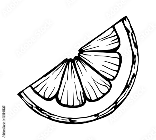 isolated hand drawn black contour of lemon or orange half slices