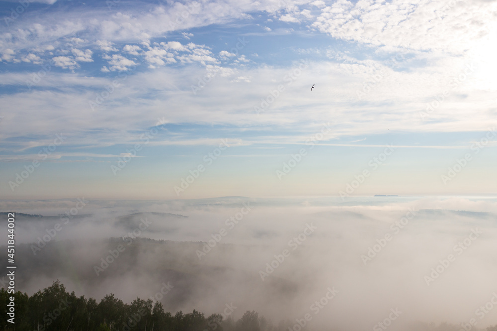 Summer landscape of early foggy morning over forest with cloudy sky. Heavy fog over horizon in Siberia, Russia