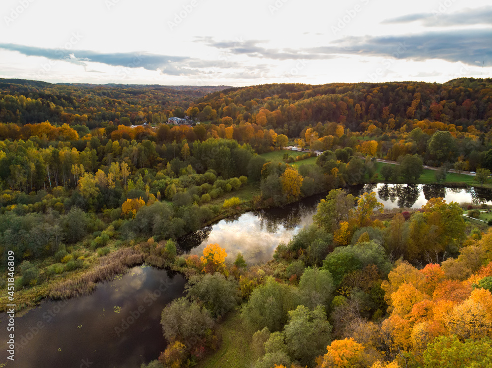 Aerial view of autumn forest with green and yellow trees. Mixed deciduous and coniferous forest. Beautiful fall scenery near Vilnius, Lithuania