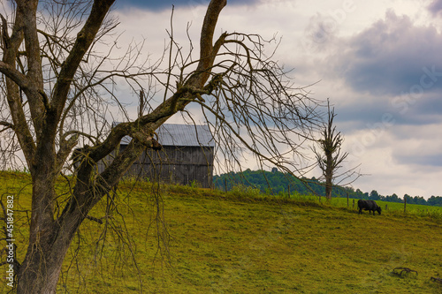 Barn and pasture on a hillside in rural Virginia