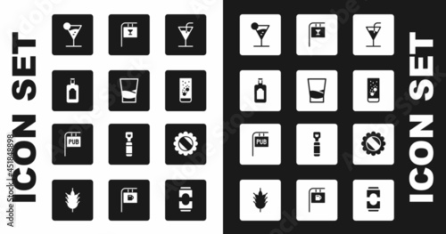 Set Cocktail, Glass of vodka, Whiskey bottle, Martini glass, Effervescent tablets water, Street signboard with Bar, Bottle cap and Pub icon. Vector