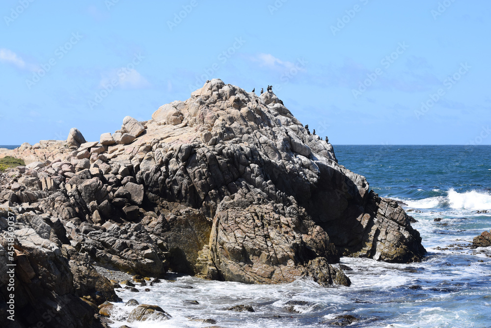 Birds on top of rocks near the ocean at 17 Mile Drive in Monterey, California.