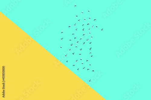 The angle of the yellow building with abstract birds on turquoise palates