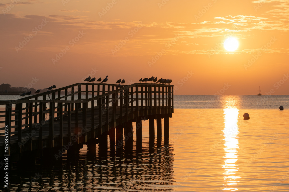 Silhouette of a jetty with gulls in bright gold color at sunrise.