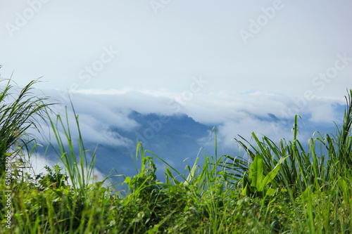 White clouds are floating over top of the green mountain in Sajek, Bangladesh photo