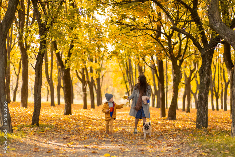 Young beautiful mother spends time on a walk with her beloved little son in the autumn park. Happy family enjoy autumn days Young beautiful mother spends time on a walk with her beloved little son in the autumn park. Happy family enjoy autumn days