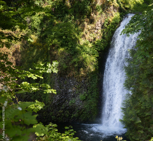 Forest Waterfall