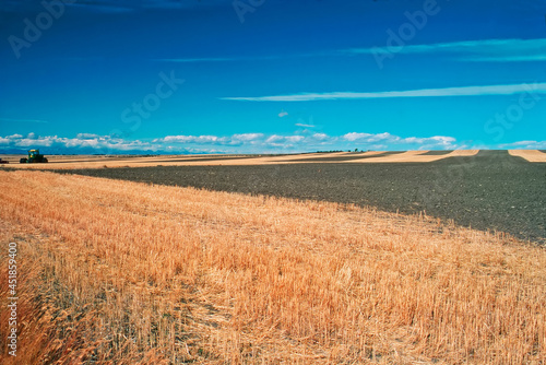Field in Montana