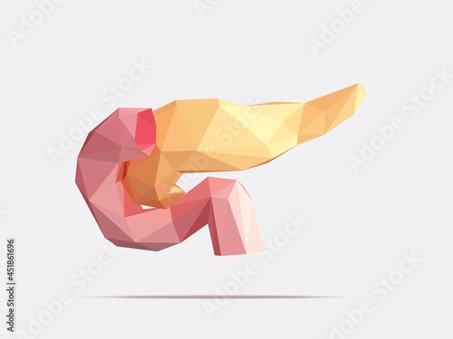 Vector illustration of human pancreas and duodenum with faceted low-poly geometry effect. Stylized anatomy of internal human organ pancreas photo