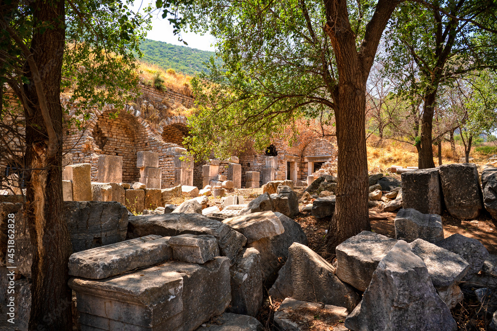 Fototapeta premium Ephesus ancient city in Selcuk, Turkey