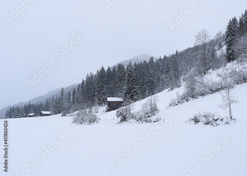 Rural winter background.