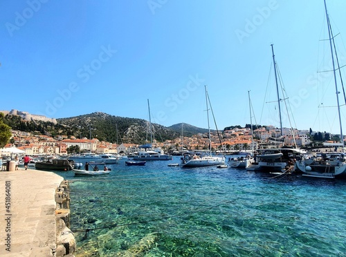 boats in the harbor