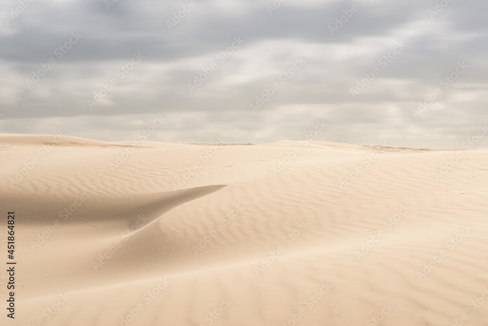 Fine texture and lines of sandy dunes in a desert.