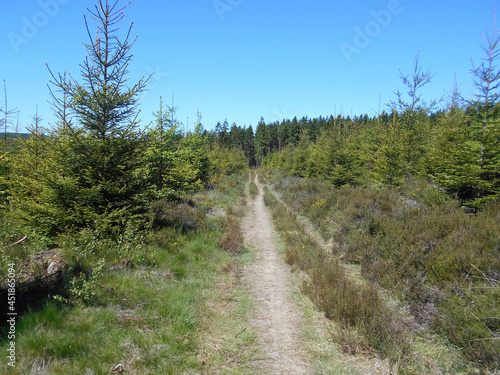 Sentier de randonnée dans les Hautes-Fagnes en Wallonie