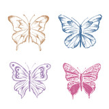 Butterfly hand drawn vector illustrations.	
