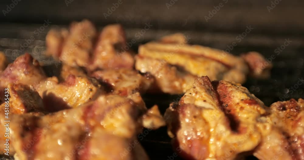 Roasting juicy meat with spices and herbs on bbq grid, smoke. Juicy meat ready for picnic celebration. Barbecue grill. BBQ grill.