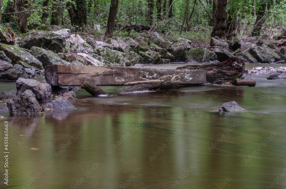 Bach im Wald Bach im Wald