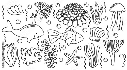 Sea life doodle set. Collection of hand drawn illustration: fish, shells, different seaweeds, shingle urchin. Isolated vector set.